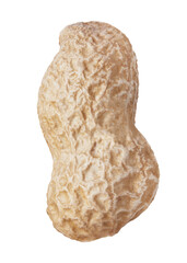 One raw shelled peanut isolated on white background