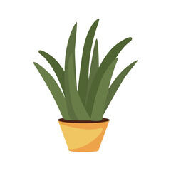 Simple Flat Design Aloe Vera Plant in Pot Illustration Graphic