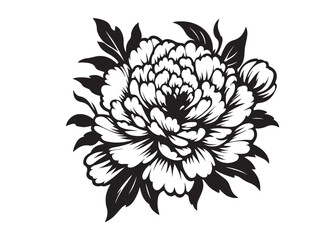 peony flower logo silhouette vector, carnation flower silhouette logo vector illustration, Silhouette of a peony flower petals and leaf, peony flower logo silhouette vector on white background.