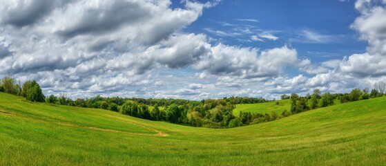 Fototapeta premium The rolling green hills under a dramatic cloudy blue sky in springtime panorama