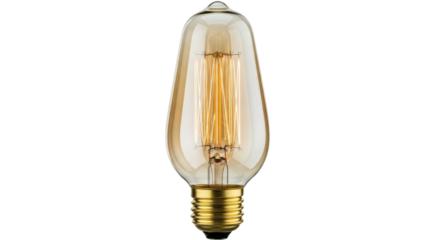 Isolated Edison Bulb