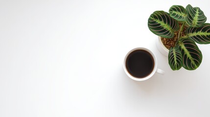 Minimalist office desk with coffee cup and green plant leaves, top-down view on clean white background with soft lighting and ample copy space
