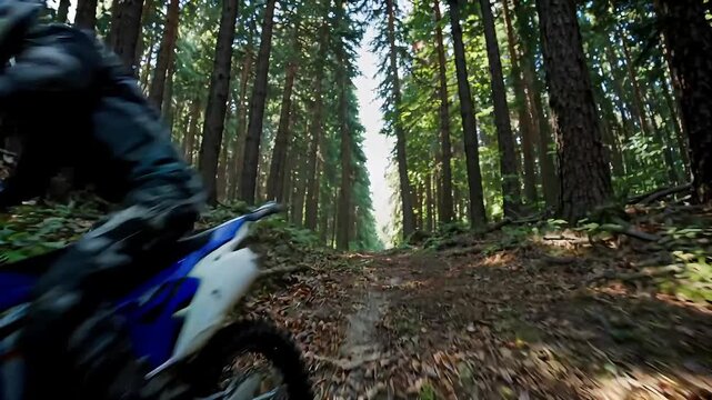 Thrilling dirt bike rider speeds through a dense green forest trail. Off-road motocross adventure in nature.