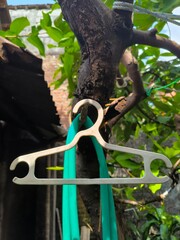 Clothes hangers and water hoses hang from the clothesline.