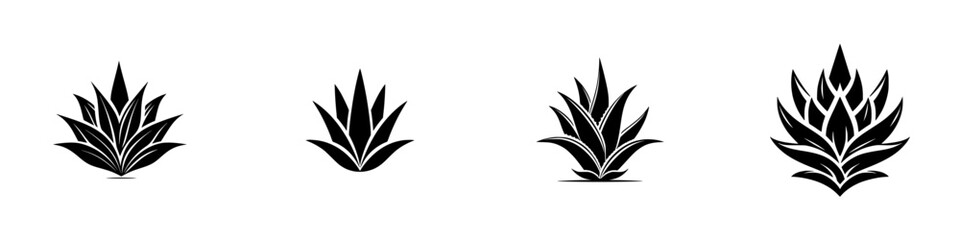 Agave plant silhouettes on white background, minimalist monochrome icons