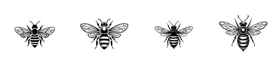 Fototapeta premium Stylized bees with detailed wings and striped bodies in graphic black and white, minimalist monochrome icons