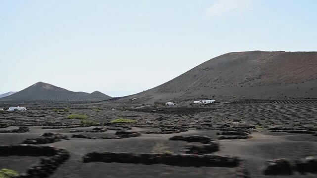 Vi&ntilde;edos de La Geria en Lanzarote