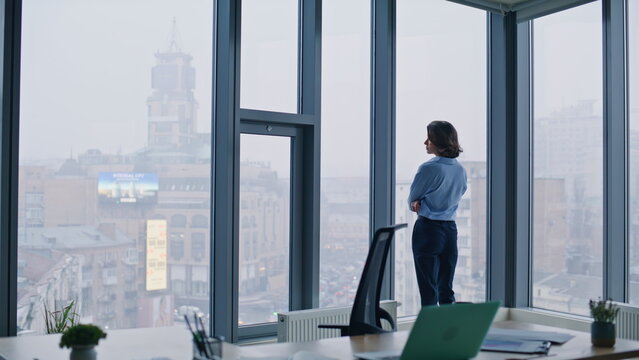 Back businesswoman looking cityscape from office panoramic window. Elegant woman