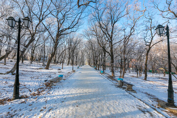 Naklejka premium Snow-covered path in a winter park.