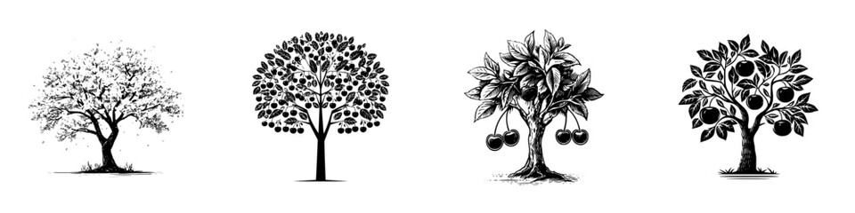 Stylized trees with fruits and leaves, black and white graphic elements, minimalist monochrome icons