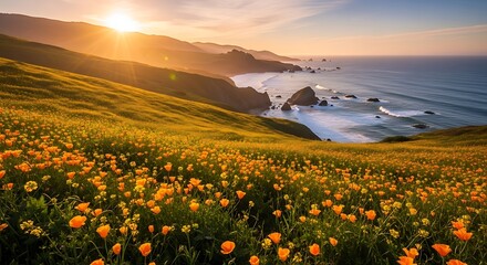 Fototapeta premium Coastal Wildflower Meadow at Sunset Overlooking the Pacific Ocean.