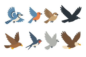 Colorful Birds in Flight. Flat vector mini-illustrations birds in flight in colors children's illustrations: jay flying, bluebird