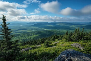 Obraz premium Scenic mountain valley with forest