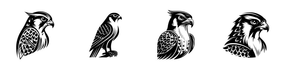 Fototapeta premium Stylized Falcon and Hawk Heads and Silhouettes, minimalist monochrome icons
