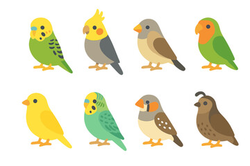 Fototapeta premium Colorful Pet Birds. Flat vector mini-illustrations small pet birds in colors children's illustrations: budgerigar, cockatiel,