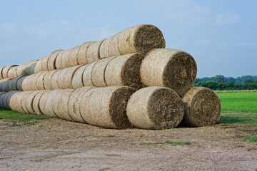 Multiple hay stack pyramids arranged neatly across the field in Summer 2025 in Germany