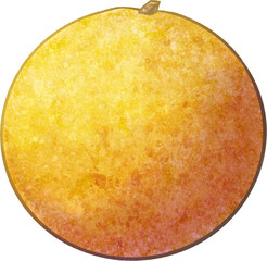 Illustration of longan01