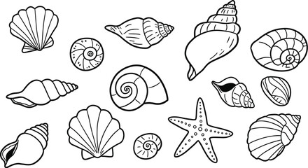 Vector set of seashells and starfish in black and white line art style
