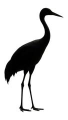 Obraz premium Silhouette of a standing crane with an elongated silhouette