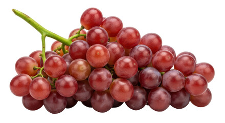 Isolated Red Grapes