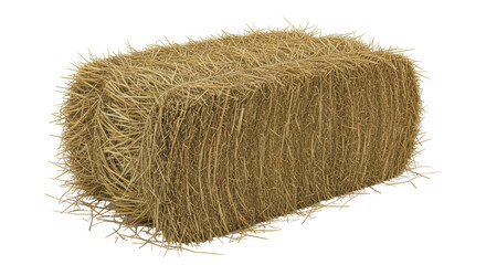 Isolated Bale of Hay