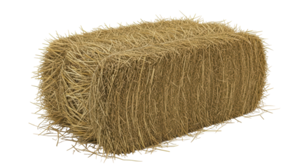 Isolated Bale of Hay