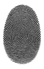 Fingerprint with loop pattern