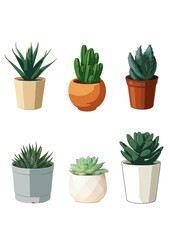 Cactus in Terracotta Pot