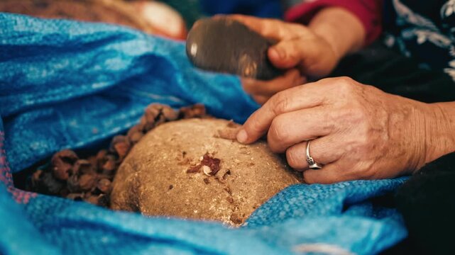 Old Moroccan Woman Breaking The Argan Nuts