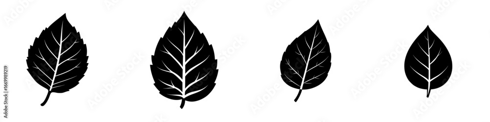 Poster different shapes and sizes of black leaves arranged in a simple pattern suitable for nature-related 