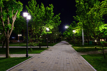 Obraz premium A paved pathway in a park at night with illuminated trees and lampposts, creating a serene urban landscape.