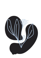 black and white flower ilustration