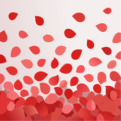 Beautiful decorative red rose petals lying on a white background