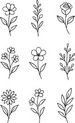 vector set of black and white flowers