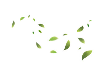 Flow of fresh green leaves design element