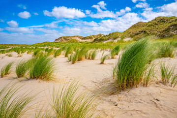 Wild dune landscape at the eastern end of the North Sea island of Norderney with dune grass in fine sand and rabbit tracks. The Wadden Sea National Park is a World Heritage Site. Summer paradise.