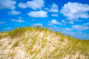 Wild dune landscape at the eastern end of the North Sea island of Norderney with dune grass in fine sand. The Wadden Sea National Park is a World Heritage Site. Entering the dunes is prohibited.