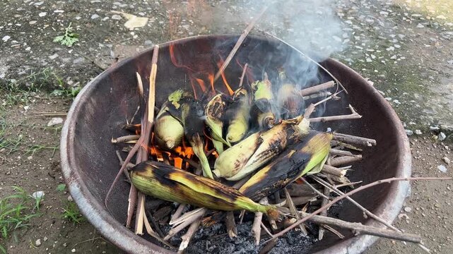 Roasting Corn on Fire | Traditional Street Food Bhutta Cooking on Open Flame