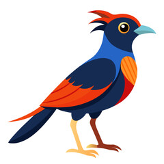 bird