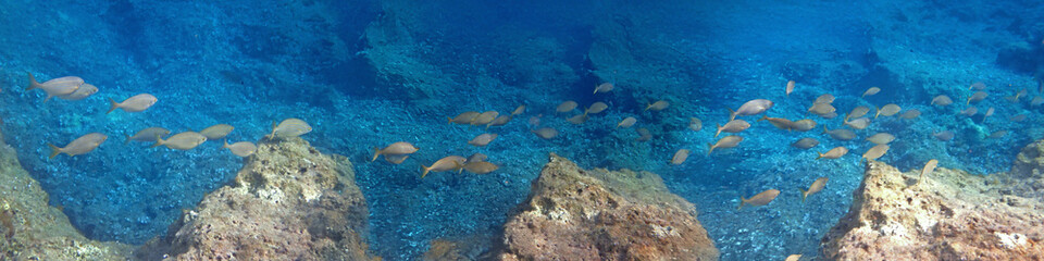 Vasta Panoramica Subacquea del Plemmirio 1065c67