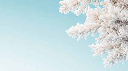 Frosted spruce branches against soft blue sky. Winter scene with ice crystals coating pine needles. Minimalist nature backdrop with frozen details.