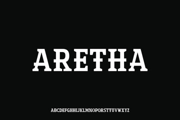 Display alphabet font vector design suitable for headline, poster, logo, magazine and many more