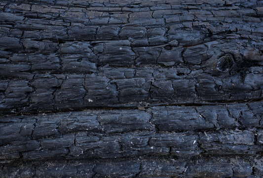 Burnt Charred Wood Texture Horizontal - Powered by Adobe