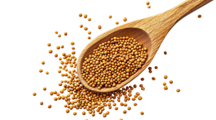 Mustard seeds poured from wooden spoon on clean white background