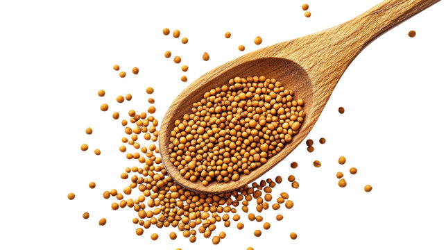 Mustard seeds poured from wooden spoon on clean white background - Powered by Adobe