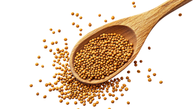 Mustard seeds poured from wooden spoon on clean white background