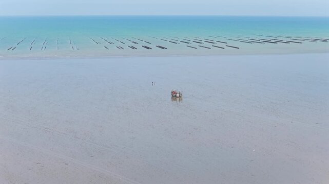Aerial view of farmers harvesting mussels and oysters at low tide