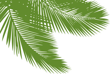 Obraz premium Overlapping palm fronds vector in green tone