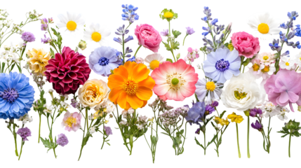 Flower arrangement or bouquet colorful spring flowers isolated on a transparent background