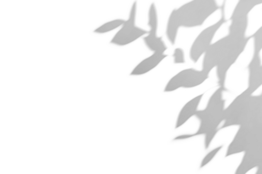 shadow overlay effects of realistic abstract natural tree leaves shadow on wall background,Summer sunlight and shadow overlay effect,shadow for photo interior backdrop studio mockup